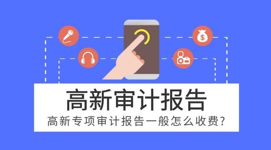 高新技术企业专项审计报告流程以及收费标准(图1)